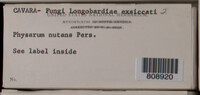 Physarum nutans image